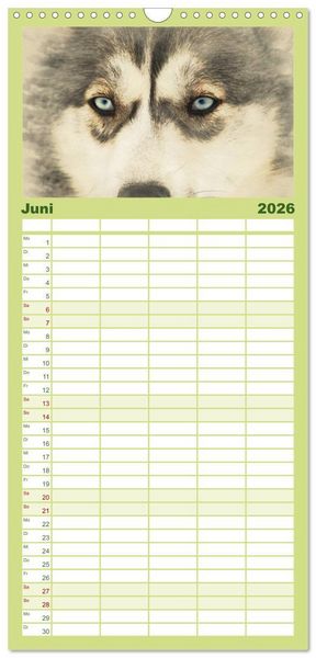 Produktbild: Familienplaner 2026 - Schlittenhunde 2026 mit 5 Spalten (Wandkalender, 21 x 45 cm) CALVENDO