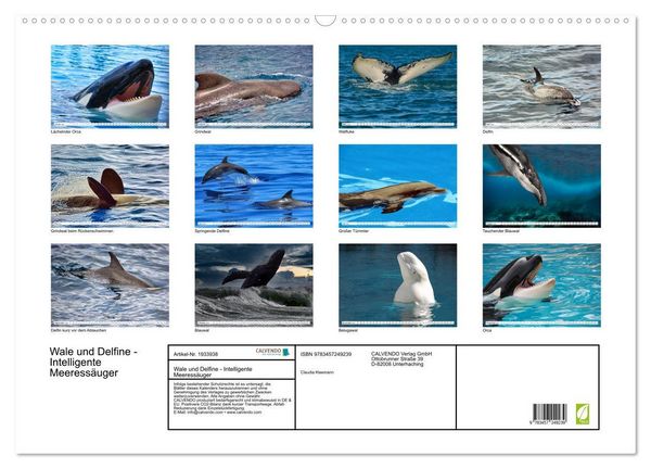 Produktbild: Wale und Delfine - Intelligente Meeress&auml;uger (Wandkalender 2026 DIN A2 quer), CALVENDO Monatskalender