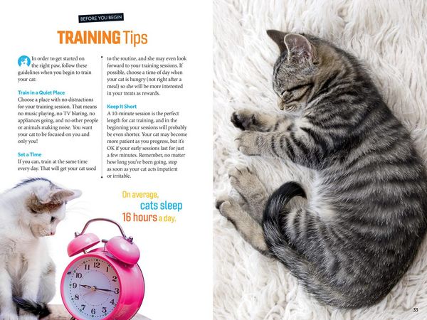 Produktbild: Pounce! a How to Speak Cat Training Guide
