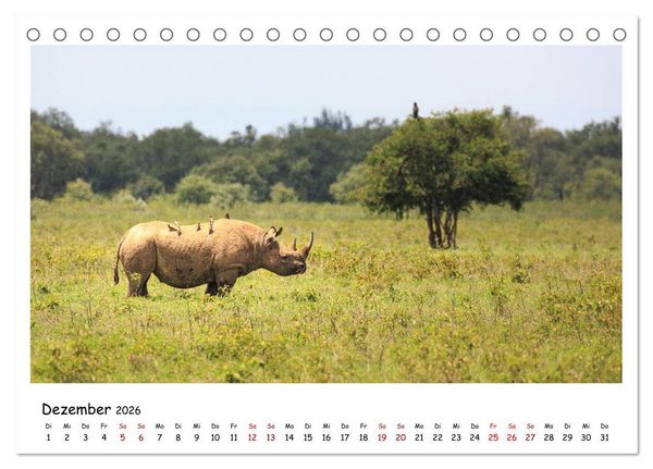 Produktbild: Tierparadies Kenia (Tischkalender 2026 DIN A5 quer), CALVENDO Monatskalender