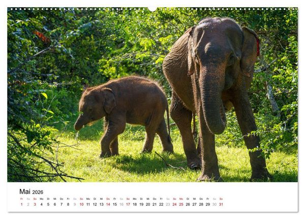 Produktbild: Urlaub in Sri Lanka - Reise durch Asien, Kultur und Natur (hochwertiger Premium Wandkalender 2026 DIN A2 quer), Kunstdruck in Hochglanz