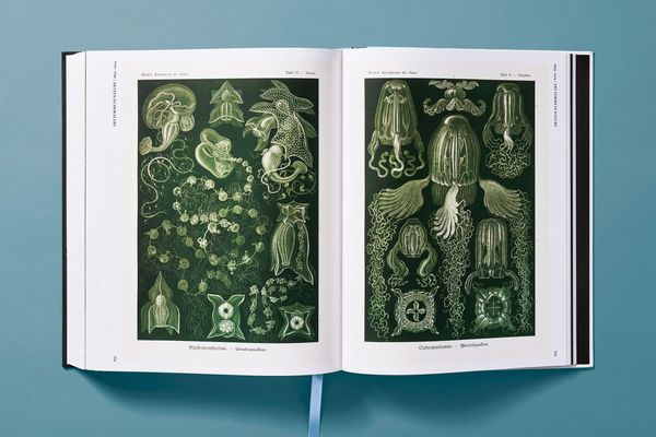 Produktbild: The Art and Science of Ernst Haeckel