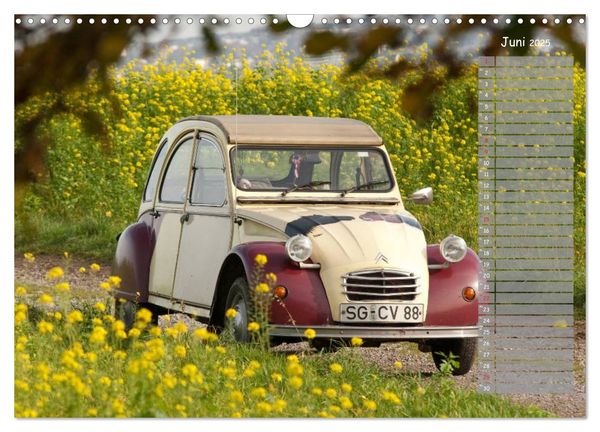 Produktbild: Kultautomobil Ente Citro&euml;n 2CV (Wandkalender 2025 DIN A3 quer), CALVENDO Monatskalender