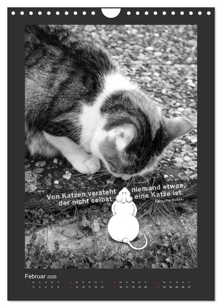 Produktbild: Katz & Maus (Wandkalender 2026 DIN A4 hoch), CALVENDO Monatskalender