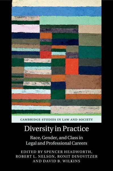 Produktbild: Diversity in Practice