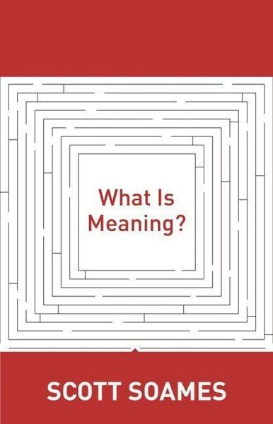 Produktbild: What Is Meaning?
