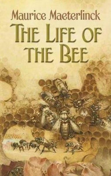 Produktbild: The Life of the Bee