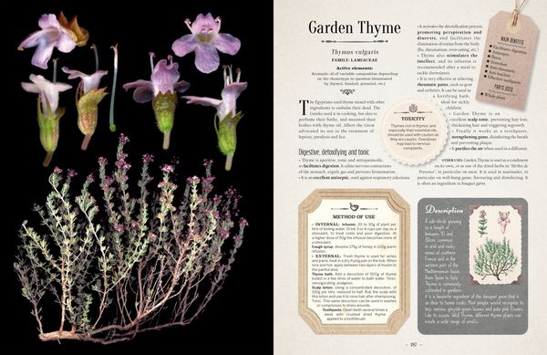 Produktbild: 100 Plants That Heal