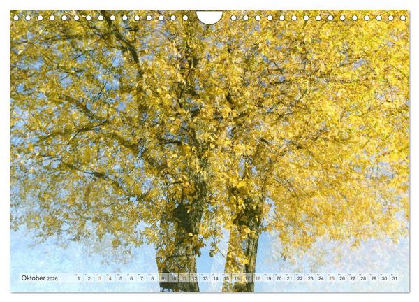 Produktbild: Vielfalt der B&auml;ume - variety of trees (Wandkalender 2026 DIN A4 quer), CALVENDO Monatskalender