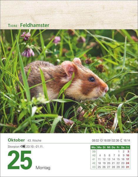 Produktbild: Mein Garten Tagesabrei&szlig;kalender 2027 - Praktische Tipps f&uuml;r 2027