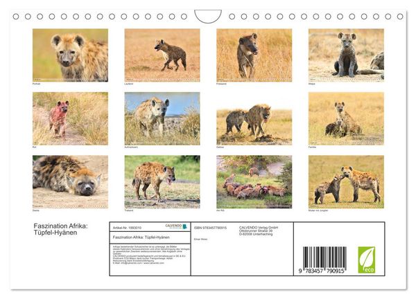 Produktbild: Faszination Afrika: T&uuml;pfel-Hy&auml;nen (Wandkalender 2026 DIN A4 quer), CALVENDO Monatskalender