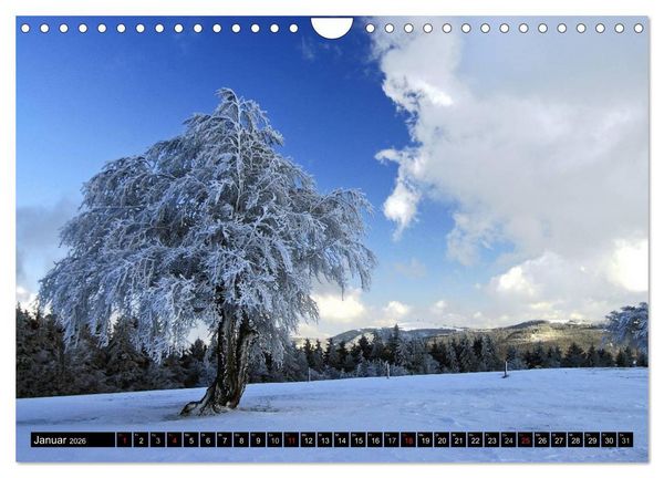 Produktbild: Romantischer Schwarzwald (Wandkalender 2026 DIN A4 quer), CALVENDO Monatskalender