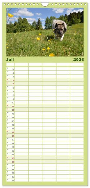 Produktbild: Familienplaner 2026 - Der Wolfsspitz mit 5 Spalten (Wandkalender, 21 x 45 cm) CALVENDO