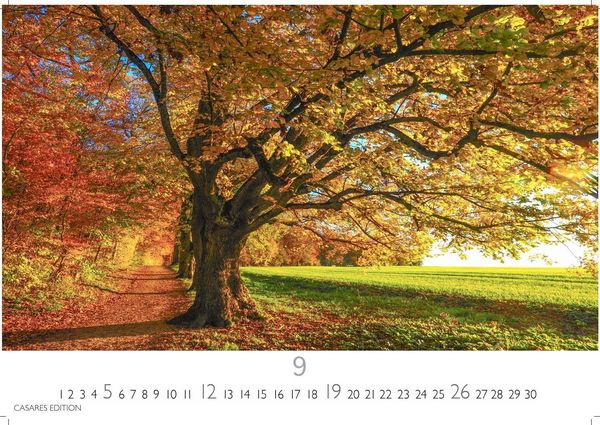 Produktbild: Indian Summer Kalender 2027 &ndash; Wandkalender | Fotokalender Nordamerika 24x35cm &ndash; Leuchtende Herbstfarben Nordamerikas in stimmungsvollen Bildern f&uuml;r deine Wand