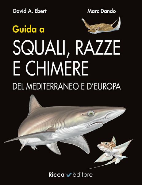 Produktbild: Guida a squali, razze e chimere del Mediterraneo e d'Europa