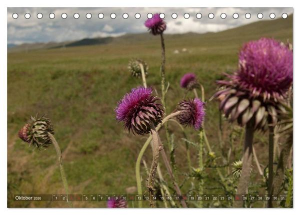 Produktbild: Mongolei - weites Land (Tischkalender 2026 DIN A5 quer), CALVENDO Monatskalender