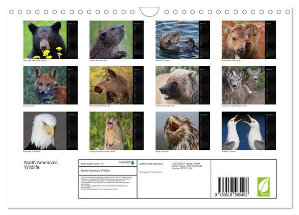 Produktbild: North America's Wildlife (Wall Calendar 2026 DIN A4 landscape), CALVENDO 12 Month Wall Calendar