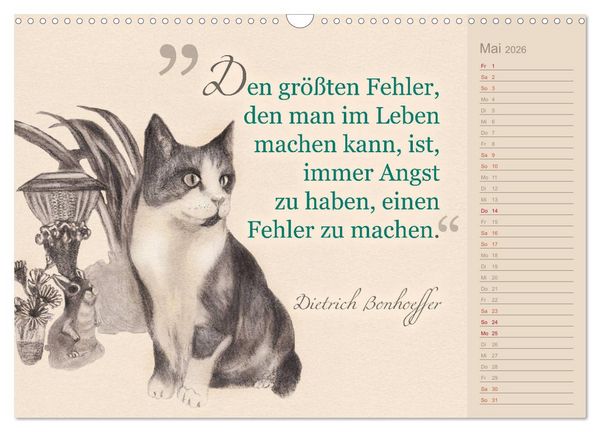 Produktbild: Von Katzen lernen (Wandkalender 2026 DIN A3 quer), CALVENDO Monatskalender