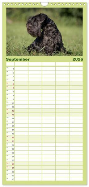 Produktbild: Familienplaner 2026 - Schnauzer... von Zwergen und Riesen 2026 mit 5 Spalten (Wandkalender, 21 x 45 cm) CALVENDO