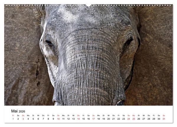Produktbild: Namibias Elefanten (hochwertiger Premium Wandkalender 2026 DIN A2 quer), Kunstdruck in Hochglanz