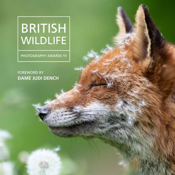 Produktbild: British Wildlife Photography Awards 2023