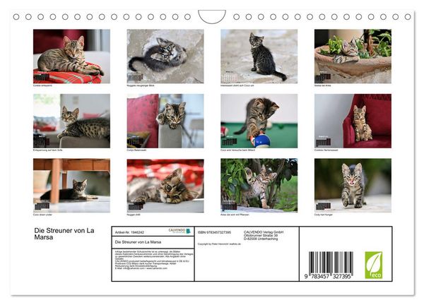 Produktbild: Die Streuner von La Marsa (Wandkalender 2026 DIN A4 quer), CALVENDO Monatskalender