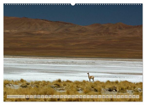 Produktbild: Argentinien Christian Heeb (hochwertiger Premium Wandkalender 2026 DIN A2 quer), Kunstdruck in Hochglanz