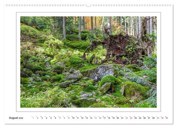 Produktbild: Unterwegs im Bayerischen Wald (hochwertiger Premium Wandkalender 2026 DIN A2 quer), Kunstdruck in Hochglanz