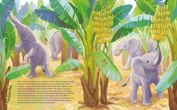 Produktbild: Der kleine Waldelefant - Zu Hause in Afrika