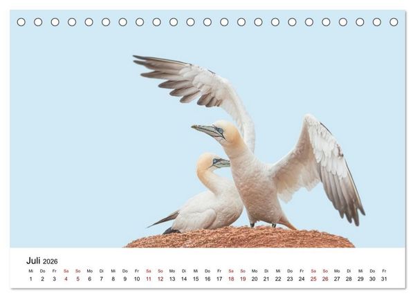 Produktbild: HELGOLAND: Nordseeinsel, sch&ouml;ner Ferienort (Tischkalender 2026 DIN A5 quer), CALVENDO Monatskalender