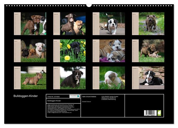 Produktbild: Bulldoggen-Kinder (Wandkalender 2026 DIN A2 quer), CALVENDO Monatskalender