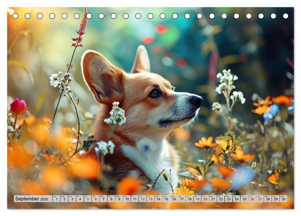Produktbild: Corgis in Bloom (Desk Calendar 2026 DIN A5 landscape), CALVENDO 12 Month DeskCalendar