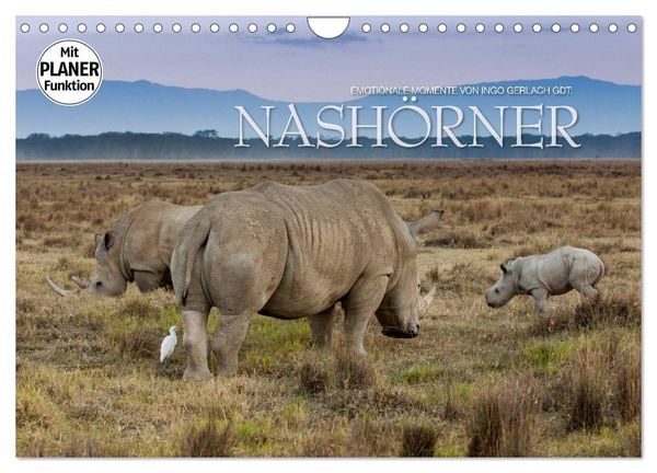 Produktbild: Emotionale Momente: Nash&ouml;rner (Wandkalender 2026 DIN A4 quer), CALVENDO Monatskalender