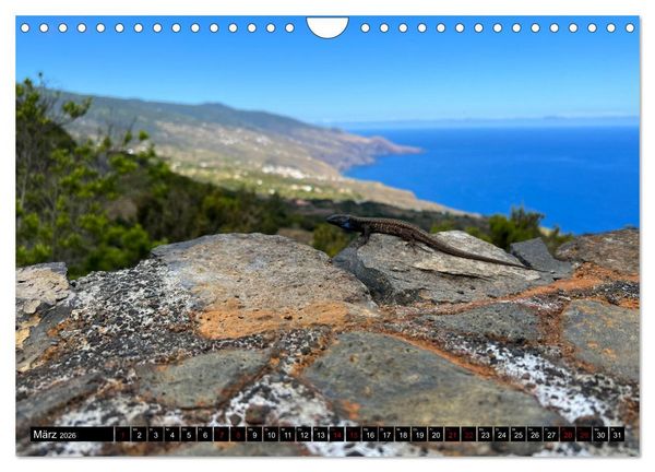 Produktbild: La Palma - Eine Reise &uuml;ber die La Isla Bonita (Wandkalender 2026 DIN A4 quer), CALVENDO Monatskalender