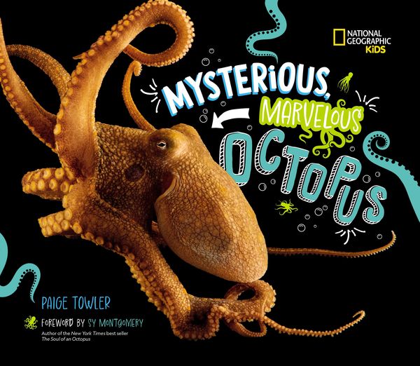 Produktbild: Mysterious, Marvelous Octopus!