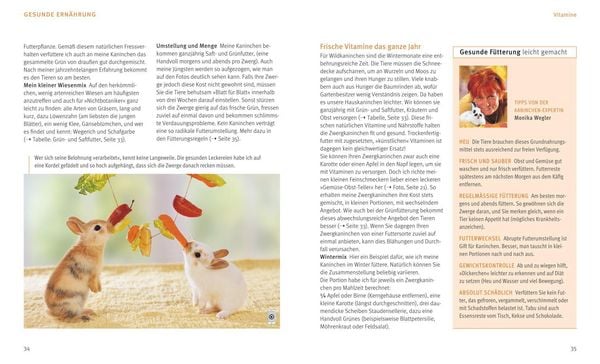 Produktbild: Zwergkaninchen