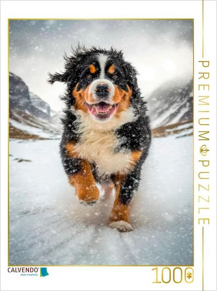 CALVENDO Puzzle Endlich Schnee | 1000 Teile Lege-Größe 64x48cm Foto-Puzzle für glückliche Stunden