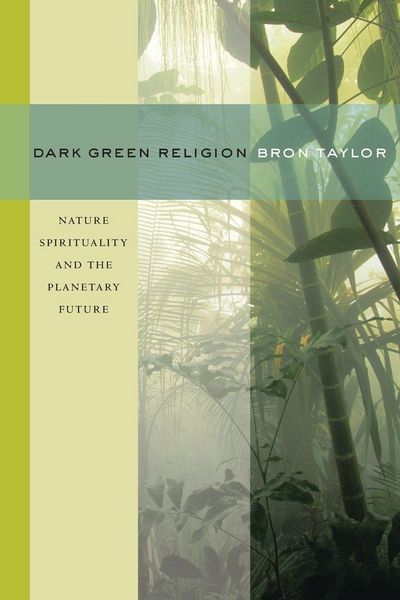 Produktbild: Dark Green Religion
