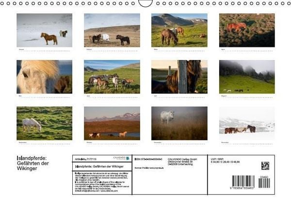 Produktbild: Islandpferde: Gef&auml;hrten der Wikinger (Wandkalender immerw&auml;hrend DIN A3 quer)