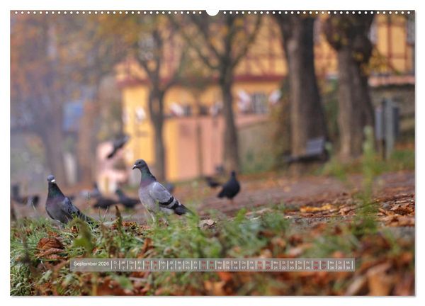 Produktbild: Lahnstein, wo die Lahn in den Rhein flie&szlig;t (hochwertiger Premium Wandkalender 2026 DIN A2 quer), Kunstdruck in Hochglanz