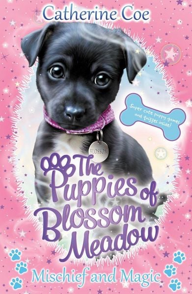 Mischief and Magic (Puppies of Blossom Meadow & 2), Taschenbuch von Catherine Coe, Scholastic, 9781407198675