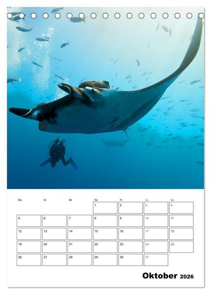 Produktbild: Tauchen - Abtauchen und Staunen (Tischkalender 2026 DIN A5 hoch), CALVENDO Monatskalender