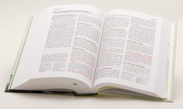 Produktbild: Neues Leben. Die Bibel f&uuml;r Teens