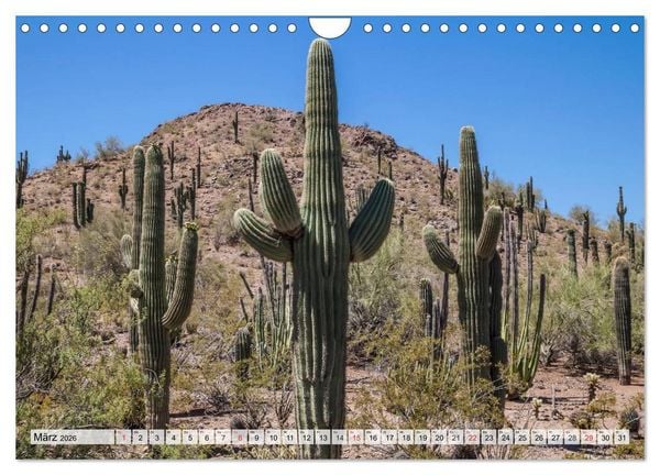Produktbild: ARIZONA UND UTAH Ein einzigartiges Erlebnis (Wandkalender 2026 DIN A4 quer), CALVENDO Monatskalender