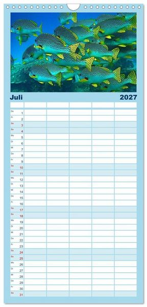 Produktbild: Familienplaner 2027 - Abenteuer Riff - bunte Unterwasserwelt mit 5 Spalten (Wandkalender, 21 x 45 cm) CALVENDO