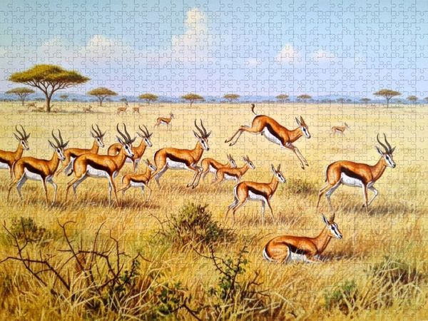 Produktbild: CALVENDO Puzzle Springb&ouml;cke mit Jungtieren als Gem&auml;lde | 1000 Teile Lege-Gr&ouml;&szlig;e 64x48cm Foto-Puzzle f&uuml;r gl&uuml;ckliche Stunden