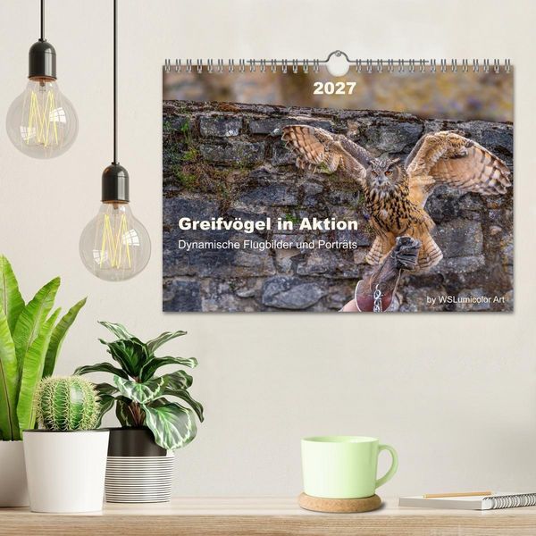 Produktbild: Greifv&ouml;gel in Aktion - Dynamische Flugbilder und Portr&auml;ts (Wandkalender 2027 DIN A4 quer), CALVENDO Monatskalender