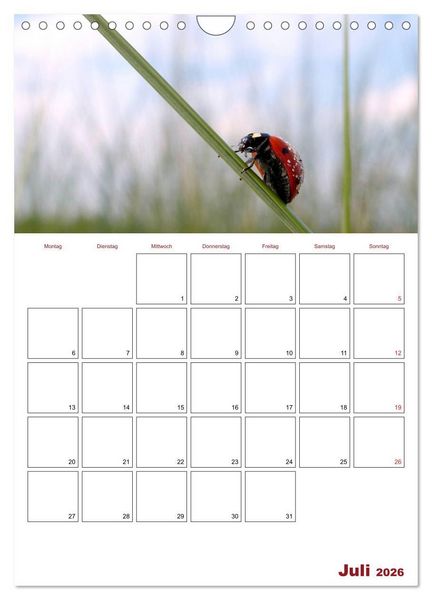 Produktbild: Marienk&auml;fergl&uuml;ck (Wandkalender 2026 DIN A4 hoch), CALVENDO Monatskalender