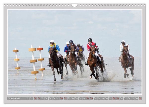 Produktbild: Pferde-Rennen auf Schnee und im Wasser (Wandkalender 2026 DIN A3 quer), CALVENDO Monatskalender