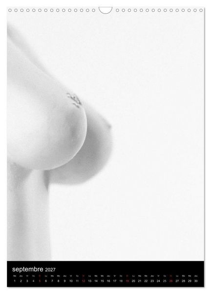 Produktbild: F&eacute;minit&eacute; (Calendrier mural 2027 DIN A3 horizontal), CALVENDO calendrier mensuel
